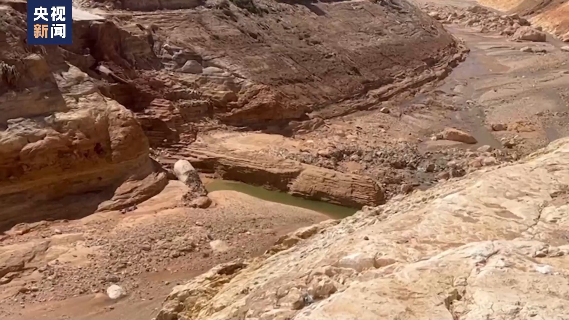 开心川麻加微送卡送分